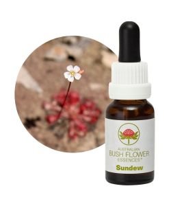 Sundew, 15 ml